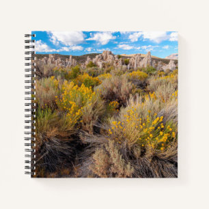 Flowers Blooming Sagebrush California Notebook