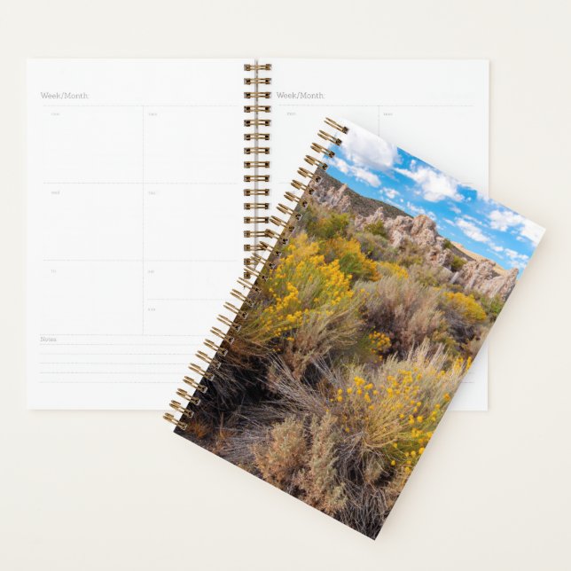 Flowers | Blooming Sagebrush California Planner (Display)