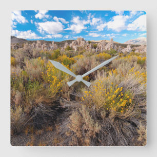 Flowers Blooming Sagebrush California Square Wall Clock