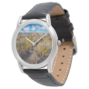 Flowers Blooming Sagebrush California Watch