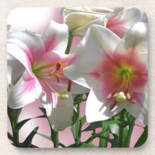 Flowers Blossoms Spring Garden Love Shower Party Coaster