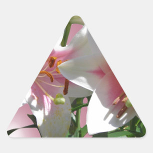 Flowers Blossoms Spring Garden Love Shower Party Triangle Sticker