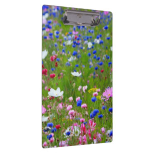 Flowers Blossoms Spring Garden Park Colourful Clipboard