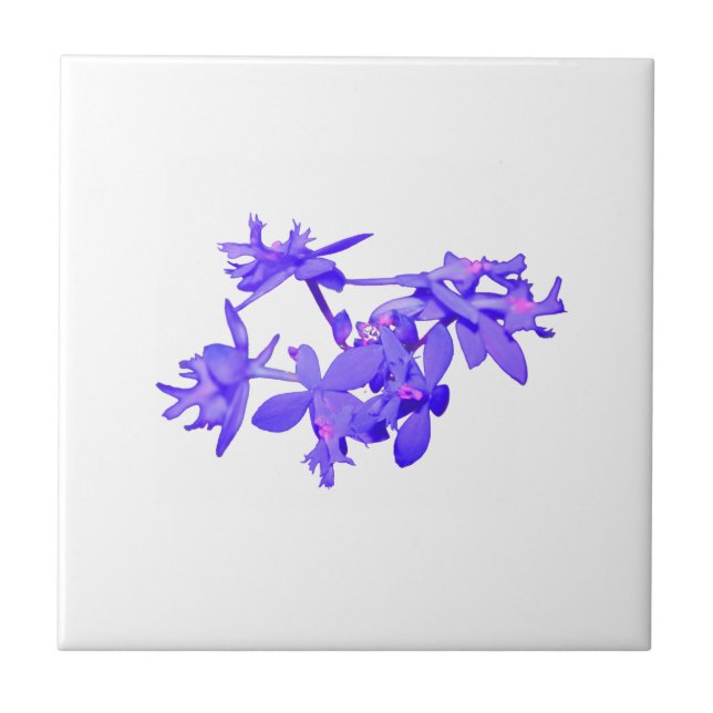Flowers Blue Tinted Ground Orchid Tile (Front)
