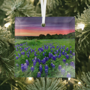 Flowers   Bluebonnets at Sunset Texas Glass Tree Decoration