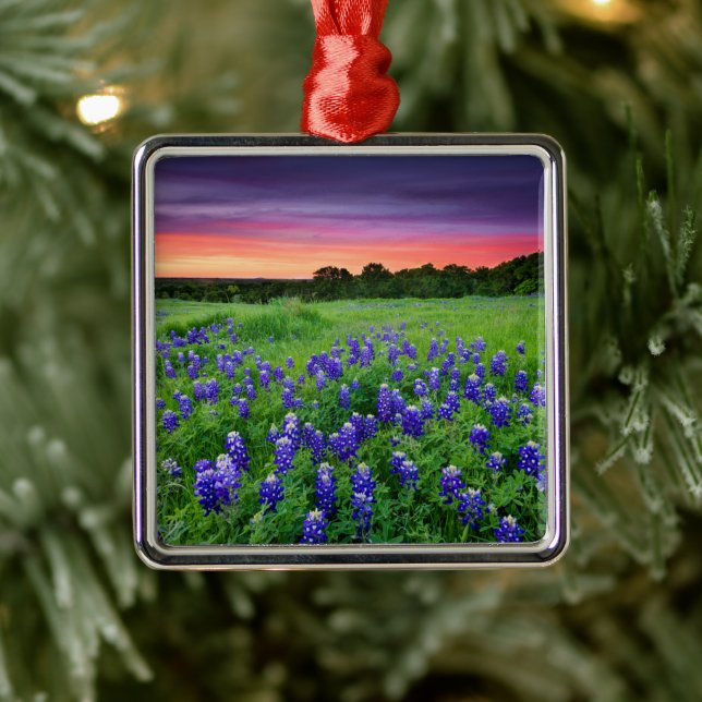 Flowers | Bluebonnets at Sunset Texas Metal Tree Decoration (Tree)