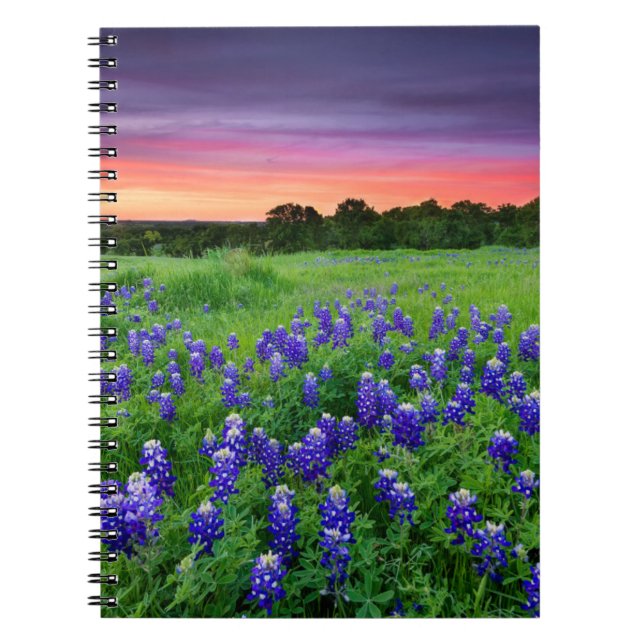 Flowers | Bluebonnets at Sunset Texas Notebook (Front)