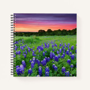 Flowers   Bluebonnets at Sunset Texas Notebook