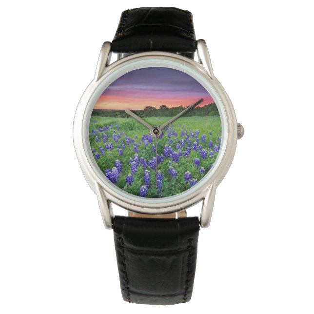 Flowers | Bluebonnets at Sunset Texas Watch (Front)