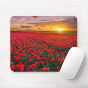 Flowers   Botanical Garden Holland Mouse Mat
