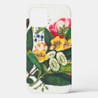 Flowers Botany Illustration