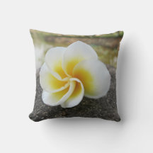 Flowers, bugs, japanese , asian ,chinese , old +fa