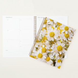 Flowers Bunch of Chamomiles Planner