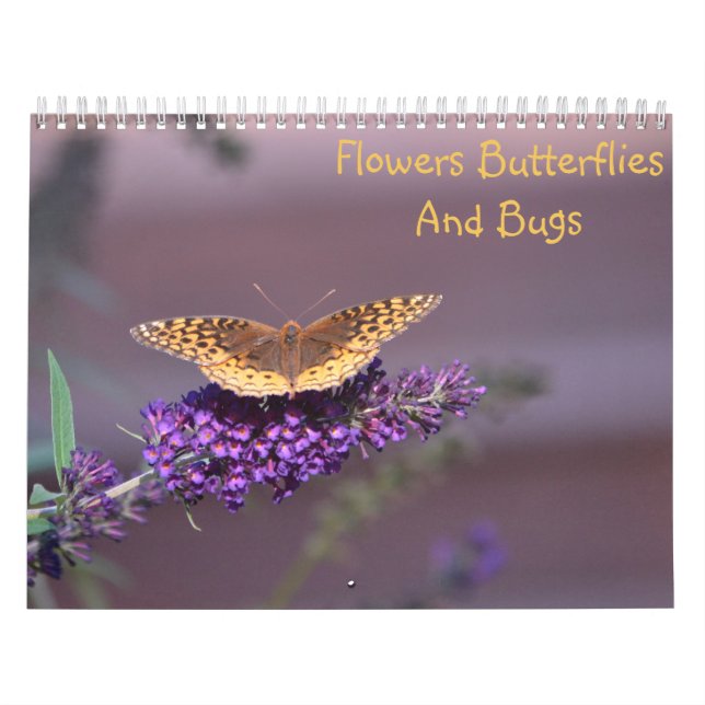 Flowers, Butterflies & Bugs Calendar (Cover)