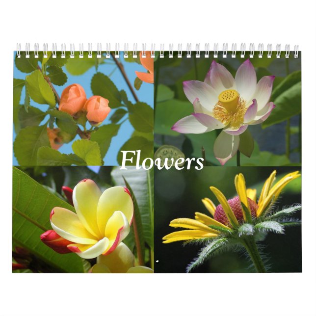 Flowers Calendar (Cover)