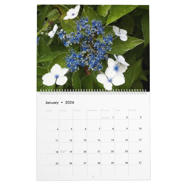 Flowers Calendar (Jan 2026)