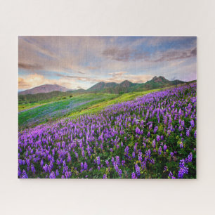 Flowers   California Wildflowers Jigsaw Puzzle