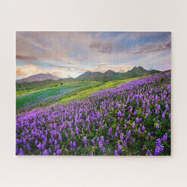 Flowers | California Wildflowers Jigsaw Puzzle (Horizontal)