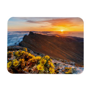 Flowers   Canary Islands, Spain Magnet