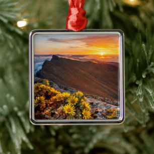 Flowers   Canary Islands, Spain Metal Tree Decoration