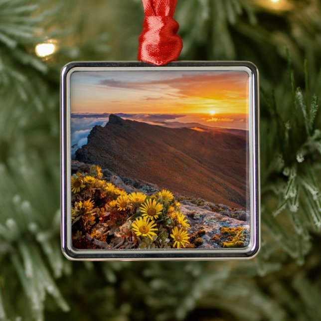 Flowers | Canary Islands, Spain Metal Tree Decoration (Tree)