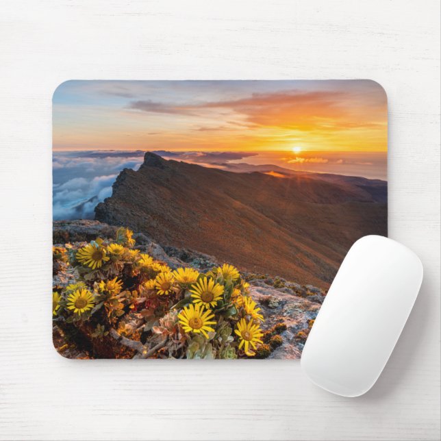 Flowers | Canary Islands, Spain Mouse Mat (With Mouse)