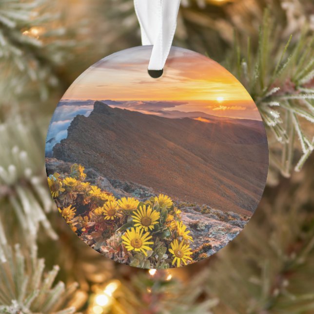 Flowers | Canary Islands, Spain Ornament (Tree)