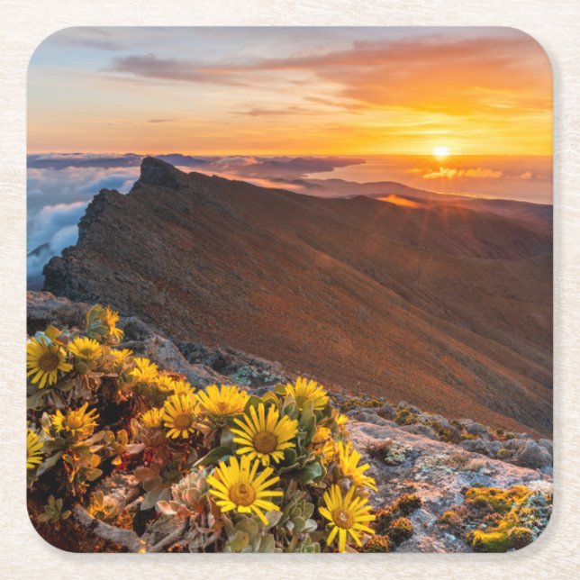 Flowers | Canary Islands, Spain Square Paper Coaster (Front)