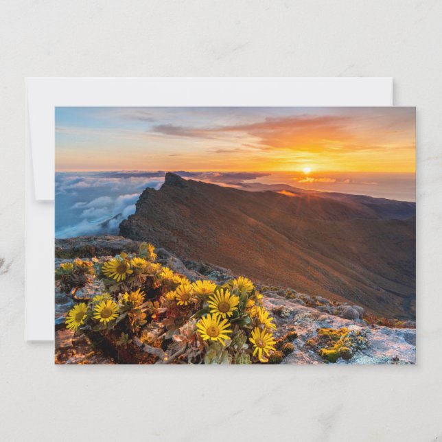 Flowers | Canary Islands, Spain Thank You Card (Front)