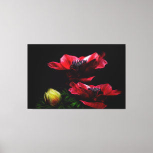 Flowers Canvas Print