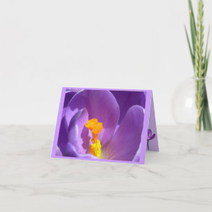 Flowers Cards Crocus Flowers Custom Greeting Card