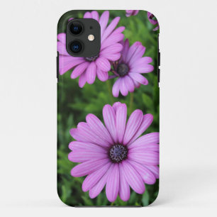 Flowers case