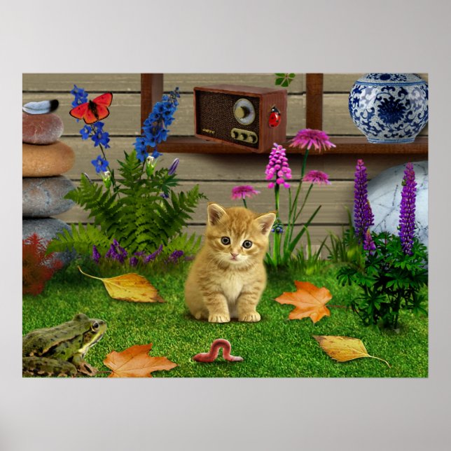 flowers cat flower kitty frog picture poster natur