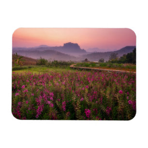 Flowers Chiang Dao, Chiang Mai, Thailand Magnet