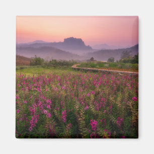 Flowers Chiang Dao, Chiang Mai, Thailand Magnet
