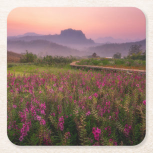Flowers Chiang Dao, Chiang Mai, Thailand Square Paper Coaster