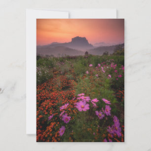 Flowers   Chiang Dao, Chiang Mai, Thailand Thank You Card