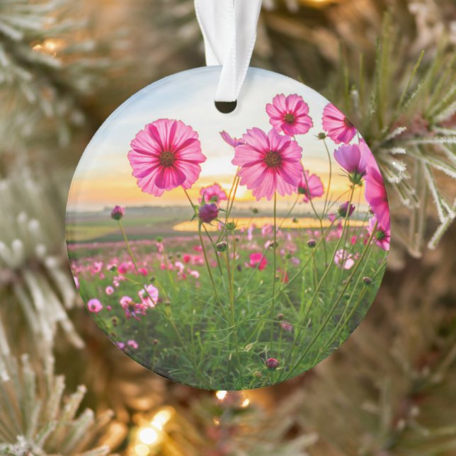 Flowers |Chiang Rai Province, Thailand Ornament (Tree)