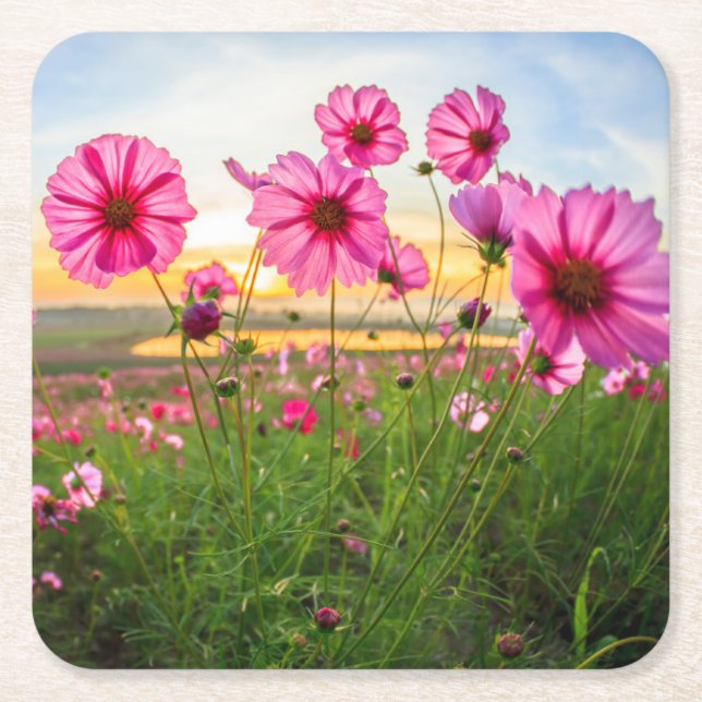 Flowers |Chiang Rai Province, Thailand Square Paper Coaster (Front)