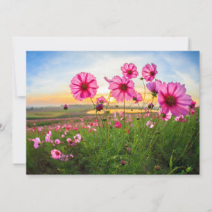 Flowers Chiang Rai Province, Thailand Thank You Card