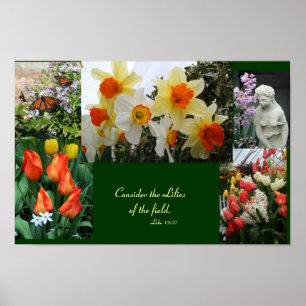 Flowers "Consider  the lilies of the field" poster