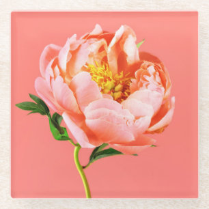 Flowers Coral Peony Blossom Glass Coaster