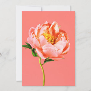 Flowers   Coral Peony Blossom Thank You Card