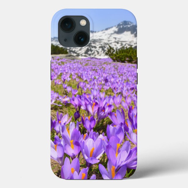 Flowers | Crocus Pirin Mountain Park Bulgaria Case-Mate iPhone Case (Back)