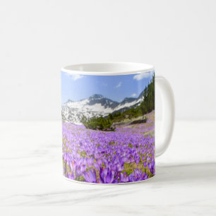 Flowers   Crocus Pirin Mountain Park Bulgaria Coffee Mug
