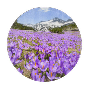 Flowers Crocus Pirin Mountain Park Bulgaria Cutting Board