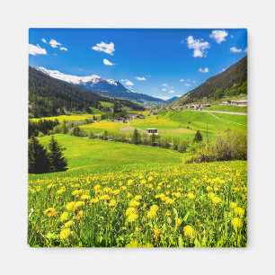 Flowers Dandelion Canton of Grisons, Switzerland Magnet