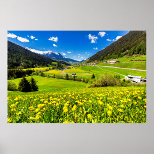 Flowers   Dandelion Canton of Grisons, Switzerland Poster