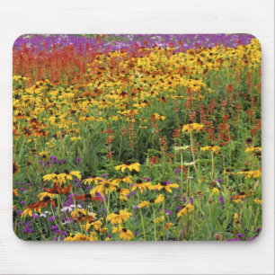 Flowers Display at International Peace Gardens Mouse Mat