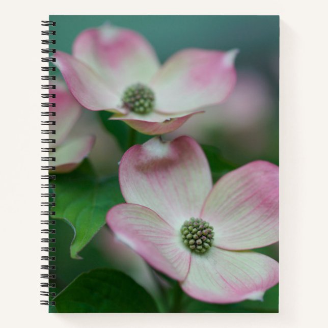 Flowers | Dogwood Blossoms Notebook (Front)